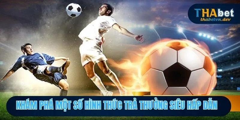 Cá Cược Thể Thao THABET - Chinh Phục Và Nhận Thưởng Giá Trị 4 Khám phá một số hình thức trả thưởng siêu hấp dẫn